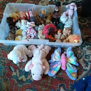 Beanie babies (assorted)